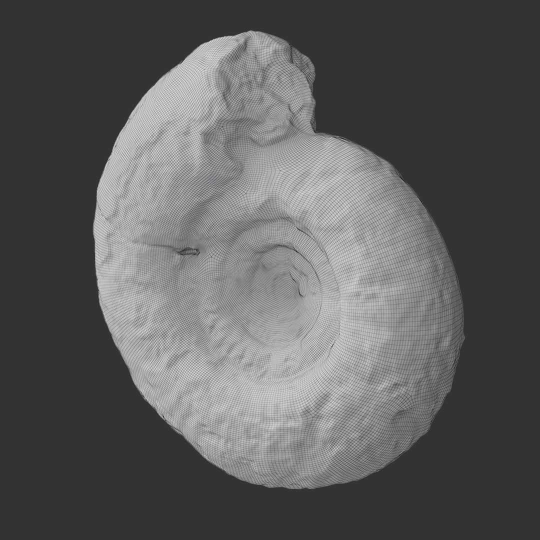 Nautilus 3D Shop Article